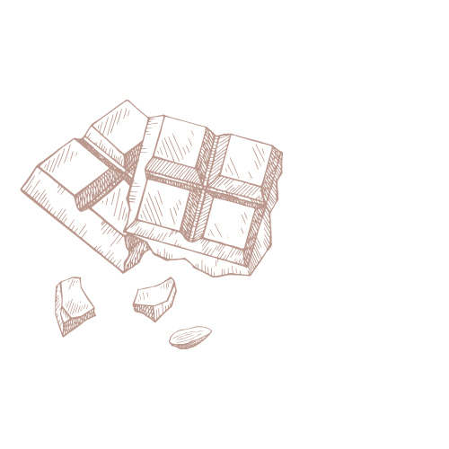 chocolate chocolate bits